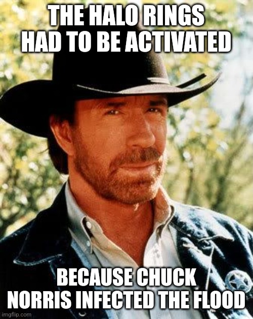 Chuck Norris vs. The Flood | THE HALO RINGS HAD TO BE ACTIVATED; BECAUSE CHUCK NORRIS INFECTED THE FLOOD | image tagged in memes,chuck norris,halo | made w/ Imgflip meme maker