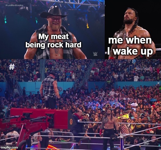 Brock vs. Roman epic stare-down | My meat being rock hard; me when I wake up | image tagged in brock vs roman epic stare-down | made w/ Imgflip meme maker