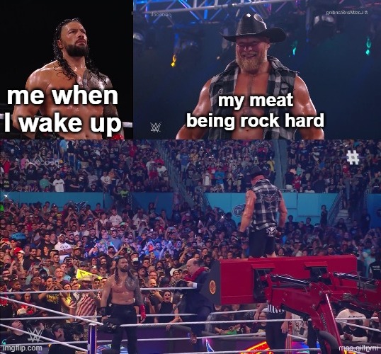 I mean its not wrong | me when I wake up; my meat being rock hard | image tagged in memes,funny,wwe,roman reigns,brock lesnar | made w/ Imgflip meme maker