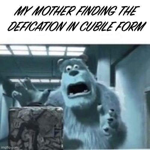 my mom finding the shitcube | MY MOTHER FINDING THE DEFICATION IN CUBILE FORM | image tagged in my mom finding the shitcube | made w/ Imgflip meme maker