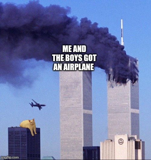 Twin towers and cat | ME AND THE BOYS GOT AN AIRPLANE | image tagged in twin towers and cat | made w/ Imgflip meme maker