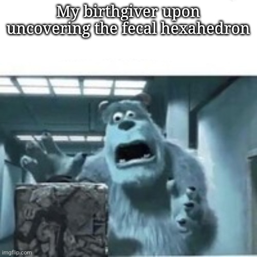 my mom finding the shitcube | My birthgiver upon uncovering the fecal hexahedron | image tagged in my mom finding the shitcube | made w/ Imgflip meme maker