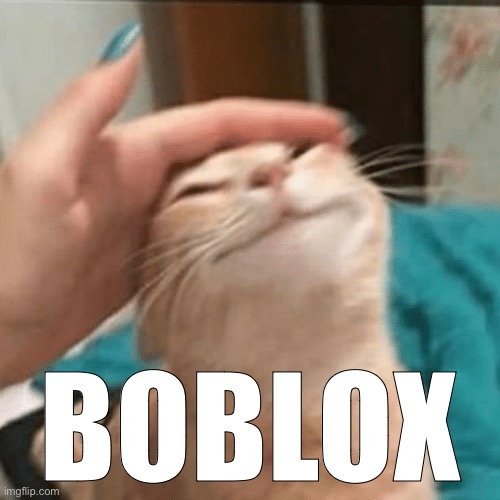 Pet the cat | BOBLOX | image tagged in pet the cat | made w/ Imgflip meme maker