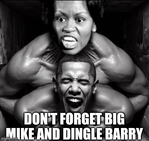 Big Mike & Dingle Barry | DON'T FORGET BIG MIKE AND DINGLE BARRY | image tagged in big mike dingle barry | made w/ Imgflip meme maker