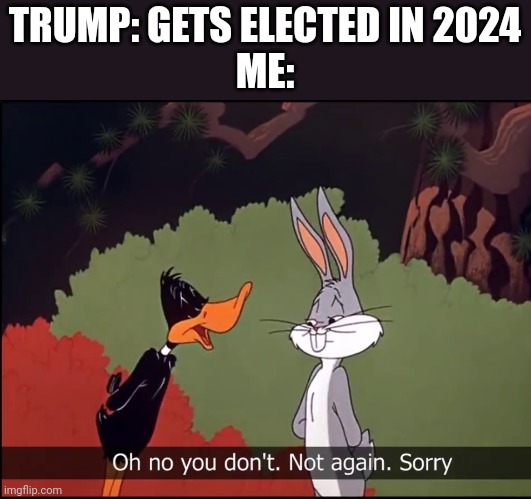 Trump's ads have lied about Harris, stop believing these things! | TRUMP: GETS ELECTED IN 2024
ME: | image tagged in bugs and daffy | made w/ Imgflip meme maker