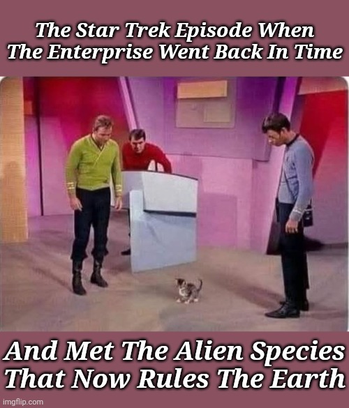 "Cats: The Final Frontier of Earth’s Future" | The Star Trek Episode When The Enterprise Went Back In Time; And Met The Alien Species That Now Rules The Earth | image tagged in memes,cats,star trek,star trek the final frontier,animals | made w/ Imgflip meme maker