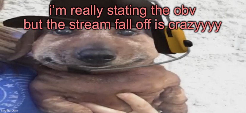 chucklenuts | i’m really stating the obv but the stream fall off is crazyyyy | image tagged in chucklenuts | made w/ Imgflip meme maker