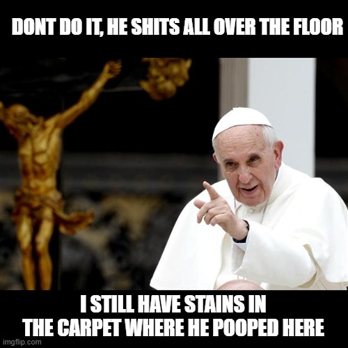 angry pope francis | DONT DO IT, HE SHITS ALL OVER THE FLOOR I STILL HAVE STAINS IN THE CARPET WHERE HE POOPED HERE | image tagged in angry pope francis | made w/ Imgflip meme maker