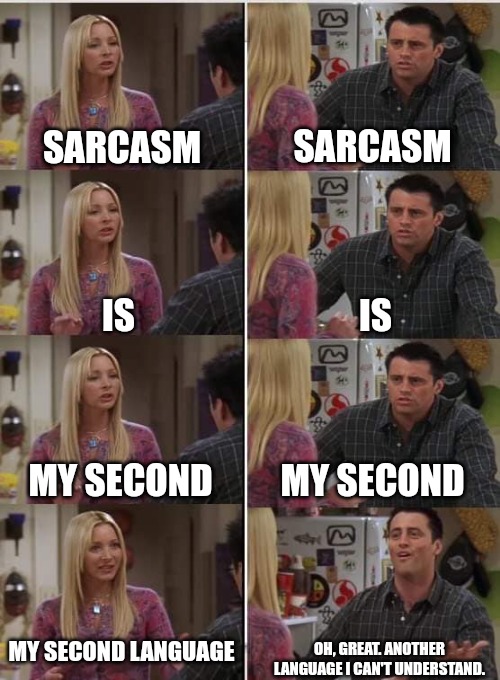 Sarcasm | SARCASM; SARCASM; IS; IS; MY SECOND; MY SECOND; MY SECOND LANGUAGE; OH, GREAT. ANOTHER LANGUAGE I CAN'T UNDERSTAND. | image tagged in phoebe joey,funny,funny memes,fun,sarcasm | made w/ Imgflip meme maker