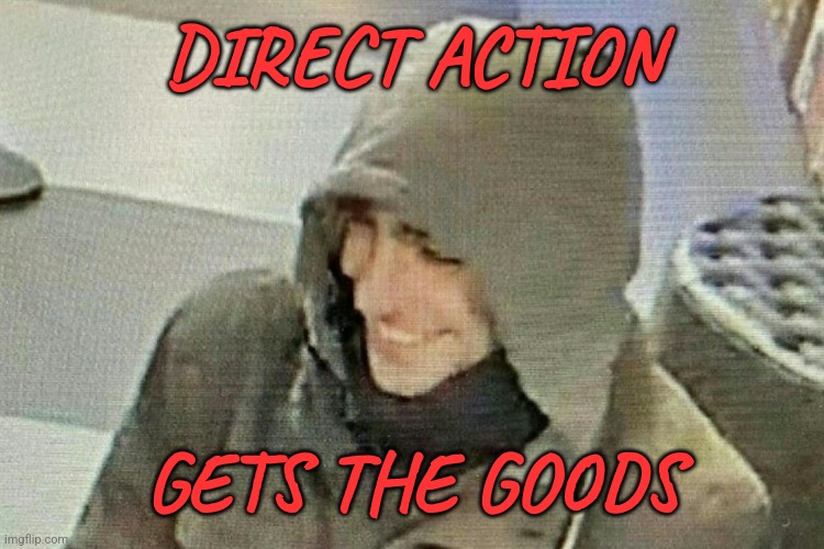 luigi mangione hood | DIRECT ACTION; GETS THE GOODS | image tagged in luigi mangione hood | made w/ Imgflip meme maker