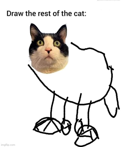 I drew but not my meme | image tagged in cat,cats | made w/ Imgflip meme maker