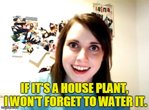 Overly Attached Girlfriend | IF IT'S A HOUSE PLANT, I WON'T FORGET TO WATER IT. | image tagged in memes,overly attached girlfriend | made w/ Imgflip meme maker