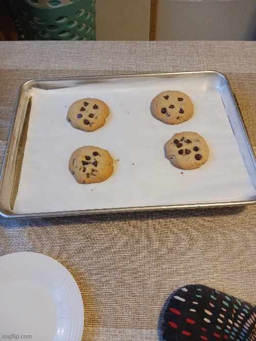 Chat did I cook | made w/ Imgflip meme maker