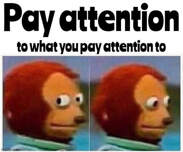 Know Thyself | Pay attention; to what you pay attention to | image tagged in memes,monkey puppet,who are you,what do you want,think,use the thinking part of your brain | made w/ Imgflip meme maker