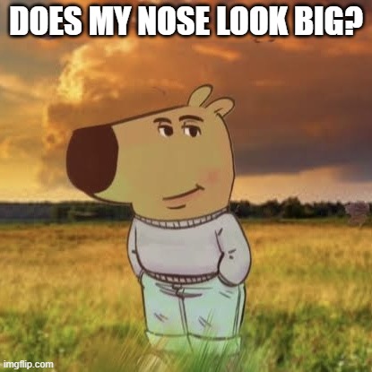 does my nose look big? | DOES MY NOSE LOOK BIG? | image tagged in chill guy,nosepicker | made w/ Imgflip meme maker