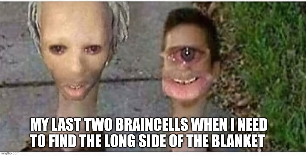 Always | MY LAST TWO BRAINCELLS WHEN I NEED TO FIND THE LONG SIDE OF THE BLANKET | image tagged in two head | made w/ Imgflip meme maker