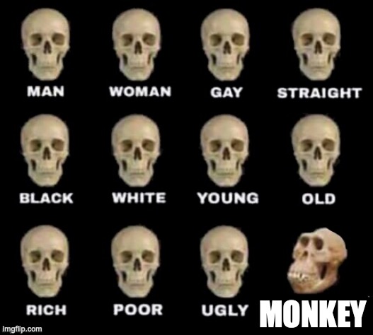 idiot skull | MONKEY | image tagged in idiot skull | made w/ Imgflip meme maker