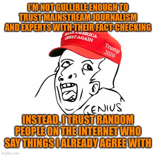 Trump supporter | I'M NOT GULLIBLE ENOUGH TO TRUST MAINSTREAM JOURNALISM AND EXPERTS WITH THEIR FACT-CHECKING INSTEAD, I TRUST RANDOM PEOPLE ON THE INTERNET W | image tagged in trump supporter | made w/ Imgflip meme maker