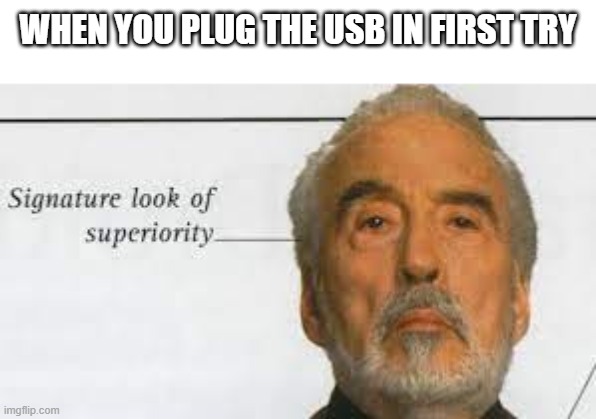 Signature Look Of Superiority | WHEN YOU PLUG THE USB IN FIRST TRY | image tagged in signature look of superiority | made w/ Imgflip meme maker