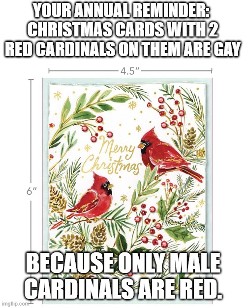 your annual reminder | YOUR ANNUAL REMINDER: 
CHRISTMAS CARDS WITH 2 RED CARDINALS ON THEM ARE GAY; BECAUSE ONLY MALE CARDINALS ARE RED. | image tagged in christmas,christmas cards,war on christmas | made w/ Imgflip meme maker