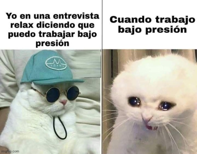 9dvn35.jpg