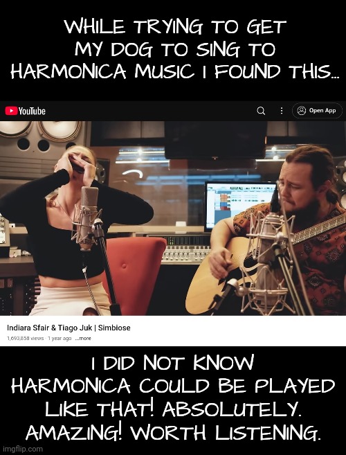 That's a Harmonica?! | WHILE TRYING TO GET MY DOG TO SING TO HARMONICA MUSIC I FOUND THIS... I DID NOT KNOW HARMONICA COULD BE PLAYED LIKE THAT! ABSOLUTELY. AMAZING! WORTH LISTENING. | image tagged in no way,unbelievable,harmonica | made w/ Imgflip meme maker