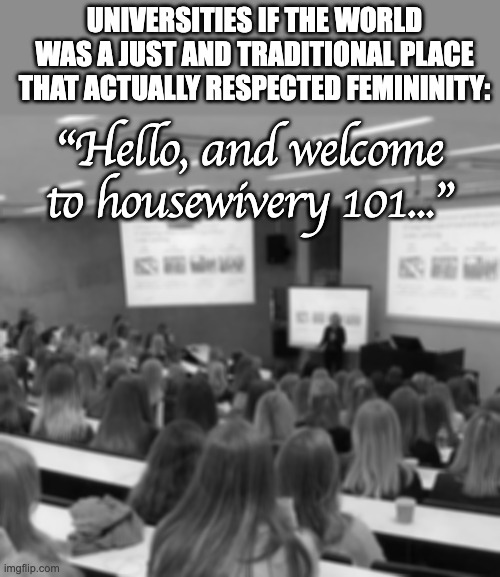 Would make housewifemaxxing so much easier UwU | UNIVERSITIES IF THE WORLD WAS A JUST AND TRADITIONAL PLACE THAT ACTUALLY RESPECTED FEMININITY:; "Hello, and welcome to housewivery 101..." | image tagged in astrology class i'm not like other girls karen,femininity,housewifemaxxing,housewife,cute,feminine | made w/ Imgflip meme maker