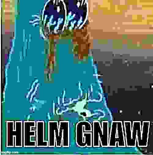 HELM GNAW | image tagged in helm gnaw | made w/ Imgflip meme maker