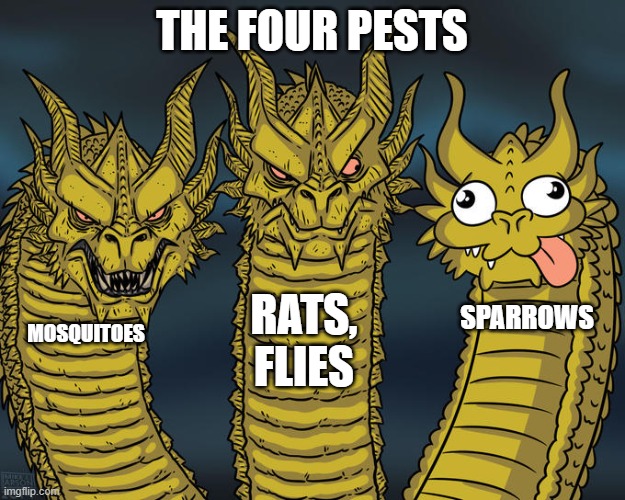 Four Pests campaign | THE FOUR PESTS; RATS, FLIES; SPARROWS; MOSQUITOES | image tagged in three-headed dragon | made w/ Imgflip meme maker