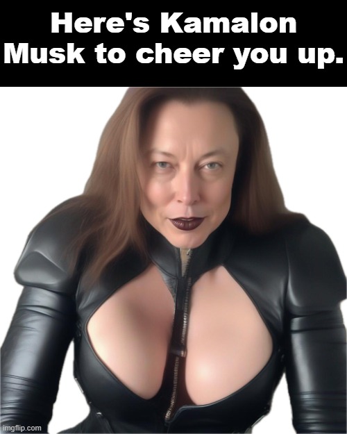 Billionaire lookalike | Here's Kamalon Musk to cheer you up. | image tagged in billionaire lookalike | made w/ Imgflip meme maker