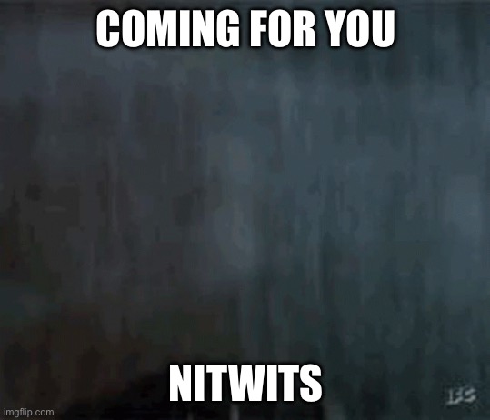 Rambo coming for you | COMING FOR YOU; NITWITS | image tagged in rambo | made w/ Imgflip meme maker