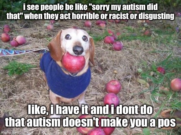 this dock | i see people be like "sorry my autism did that" when they act horrible or racist or disgusting; like, i have it and i dont do that autism doesn't make you a pos | image tagged in this dock | made w/ Imgflip meme maker