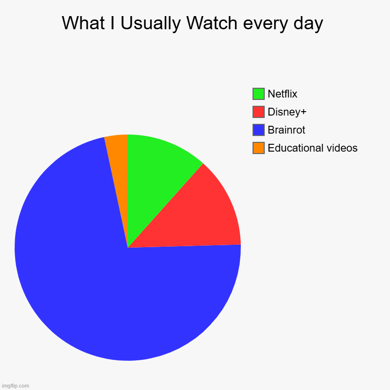 What I Usually Watch every day | Educational videos, Brainrot, Disney+, Netflix | image tagged in charts,pie charts | made w/ Imgflip chart maker