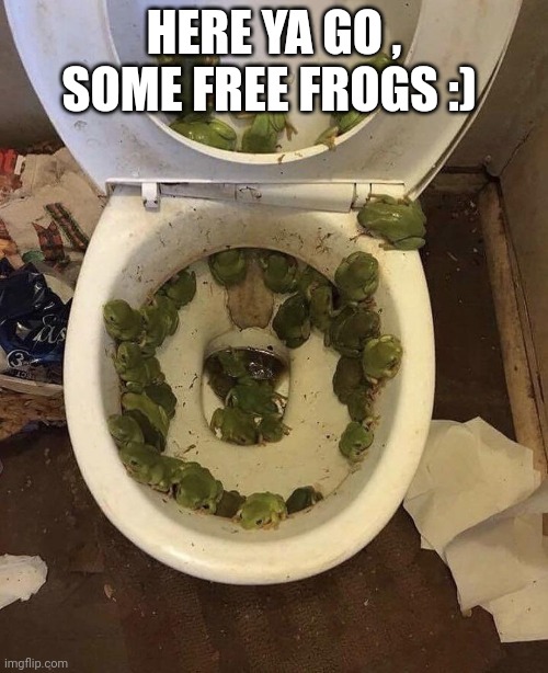 Frogs in da toilet | HERE YA GO , SOME FREE FROGS :) | image tagged in frogs in da toilet | made w/ Imgflip meme maker