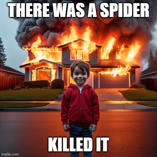 Spider | THERE WAS A SPIDER; KILLED IT | image tagged in house on fire with kid in the foreground smiling innocently,spiders | made w/ Imgflip meme maker