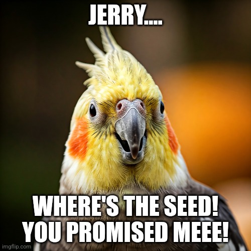 JERRY.... WHERE'S THE SEED! YOU PROMISED MEEE! | made w/ Imgflip meme maker