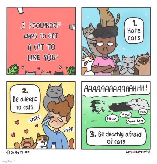 Cats | image tagged in cats,cat,comics,comics/cartoons,foolproof,animals | made w/ Imgflip meme maker