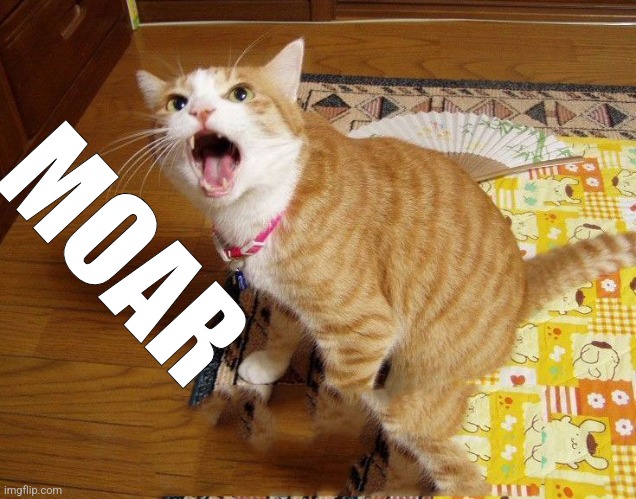 moar cat | MOAR | image tagged in moar cat | made w/ Imgflip meme maker