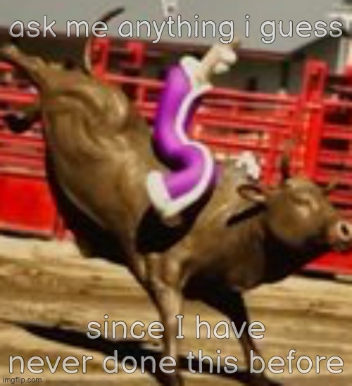 kinger | ask me anything i guess; since I have never done this before | image tagged in bull | made w/ Imgflip meme maker