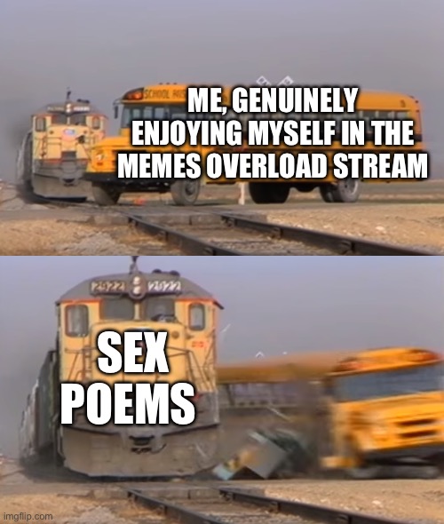 Why? | ME, GENUINELY ENJOYING MYSELF IN THE MEMES OVERLOAD STREAM; SEX POEMS | image tagged in a train hitting a school bus | made w/ Imgflip meme maker