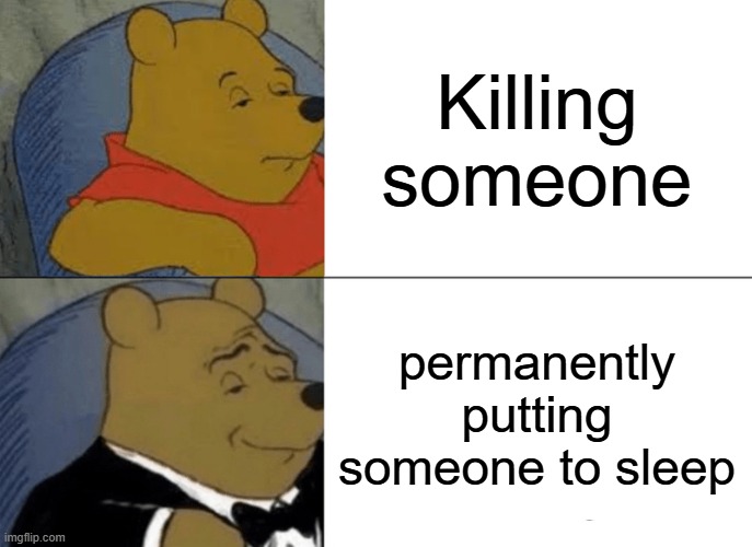 there is a difference | Killing someone; permanently putting someone to sleep | image tagged in memes,tuxedo winnie the pooh | made w/ Imgflip meme maker