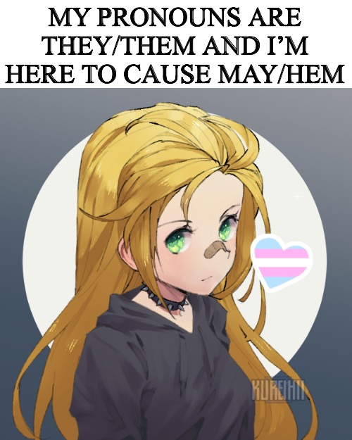 (Ade: I'm stealing that, thanks) | MY PRONOUNS ARE THEY/THEM AND I’M HERE TO CAUSE MAY/HEM | image tagged in holly but i feel a little trans today | made w/ Imgflip meme maker