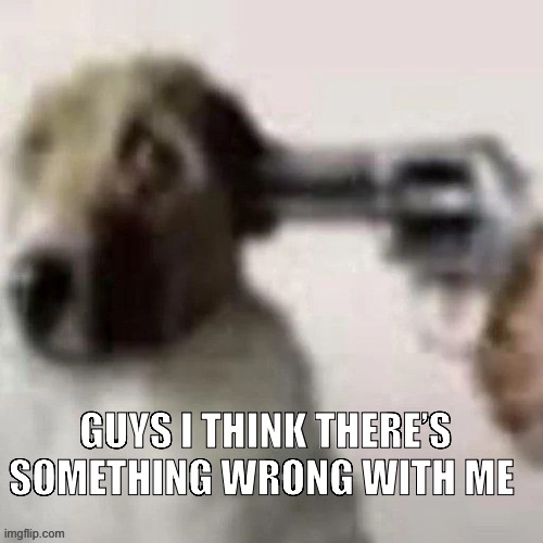 Yeah | GUYS I THINK THERE’S SOMETHING WRONG WITH ME | image tagged in dog gunpoint | made w/ Imgflip meme maker