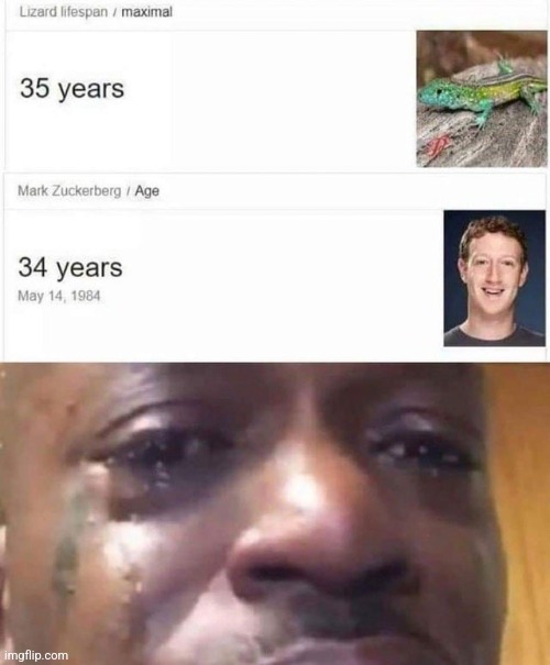 I am currently unable to partake in the human activity known as "creating a title". My sincerest apologies, fellow humans. | image tagged in mark zuckerberg | made w/ Imgflip meme maker