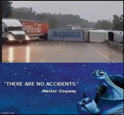 Hit the deck! | image tagged in master oogway,irl | made w/ Imgflip meme maker