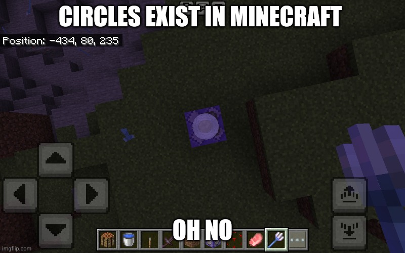 Why? | CIRCLES EXIST IN MINECRAFT; OH NO | image tagged in cursed,circle,minecraft | made w/ Imgflip meme maker