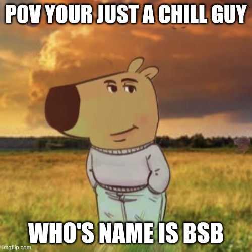 bsb chill | POV YOUR JUST A CHILL GUY; WHO'S NAME IS BSB | image tagged in chill guy | made w/ Imgflip meme maker