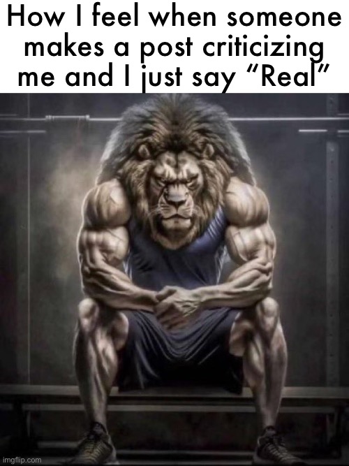 Buff lion sitting | How I feel when someone makes a post criticizing me and I just say “Real” | image tagged in buff lion sitting | made w/ Imgflip meme maker