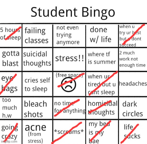 student bingo | image tagged in student bingo | made w/ Imgflip meme maker