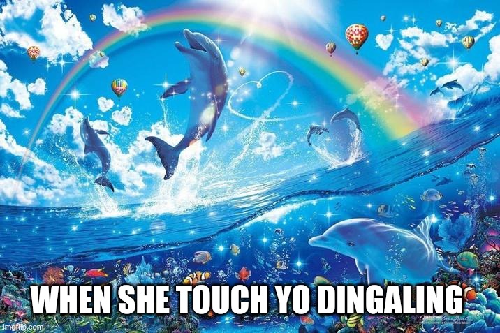 Happy dolphin rainbow | WHEN SHE TOUCH YO DINGALING | image tagged in happy dolphin rainbow | made w/ Imgflip meme maker